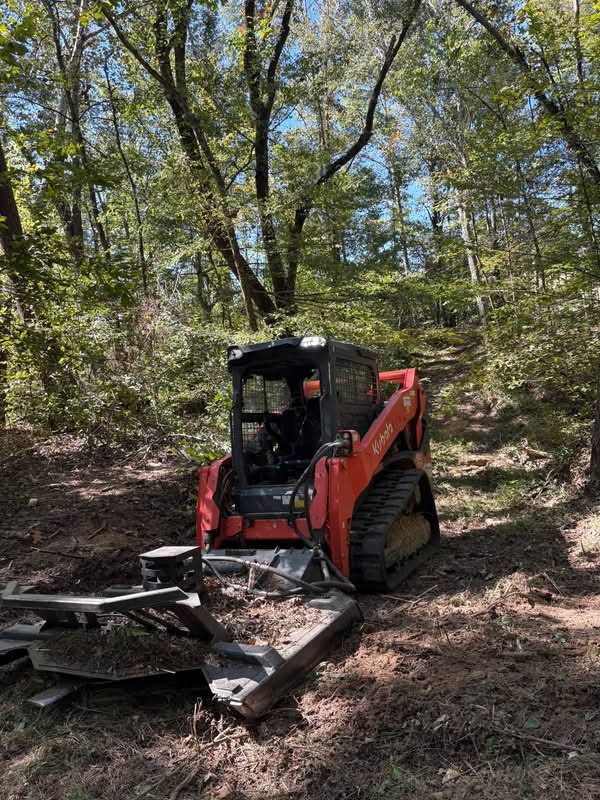 Red track loader with a mulching head clearing brush under hardwoods